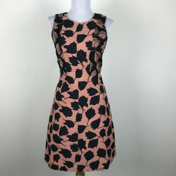 Ann Taylor Dresses & Skirts - Ann Taylor Sz 4 Dusty Pink and Navy Dress